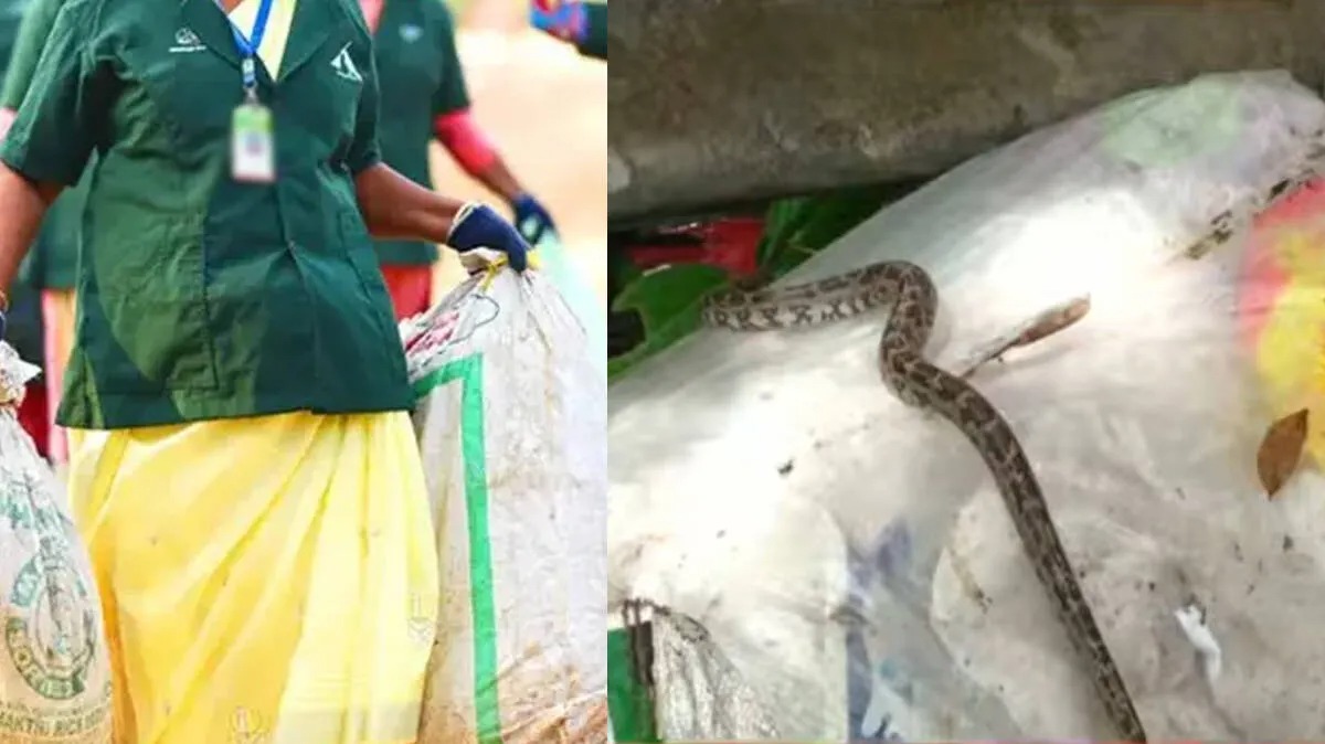 Haritha Karma Sena Snake Rescue after python found inside waste collection bag