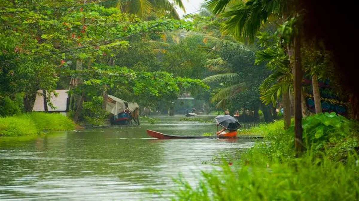 Kerala Rain Alert issued for five northern districts with Yellow Alert